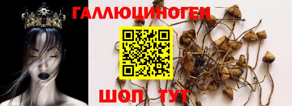 Галлюциногенные грибы Magic Shrooms  Псилоцибиновые грибы мицелий  Клин  Вход с VPN 